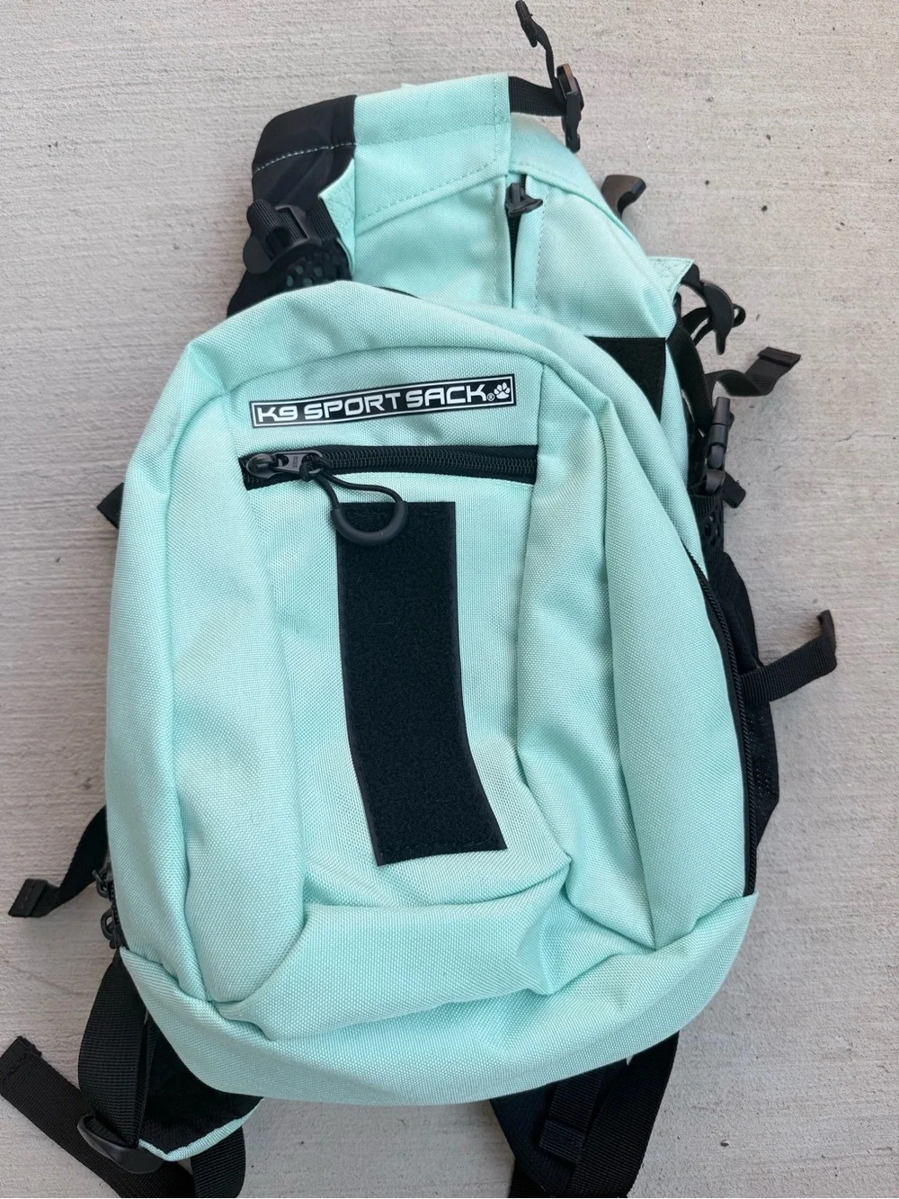 K9 Sport Sack Plus 2 Forward Facing Dog Carrier Backpack, Mint, Small